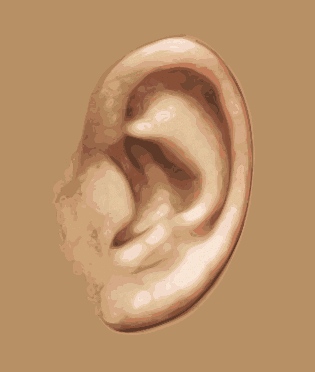 ear